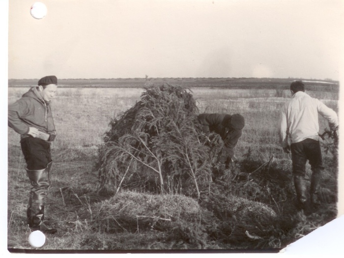 ��������� ����