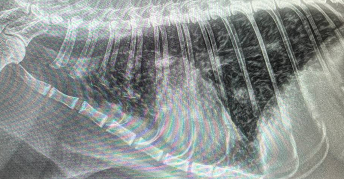   14   .  ,              .