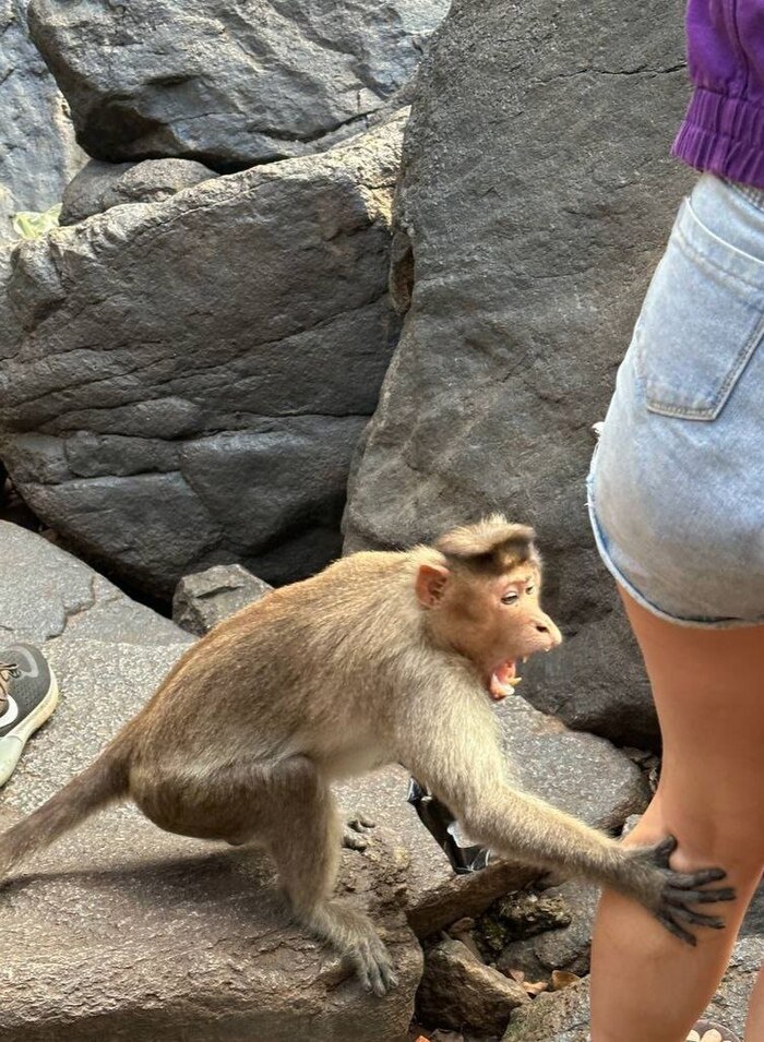 ���� ����� ������� ������ �� ������� �� ����