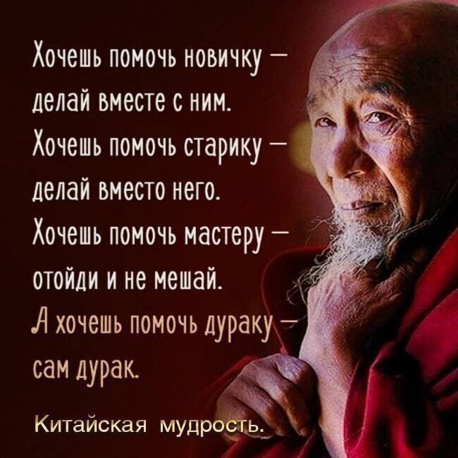 Мудрость | Пикабу