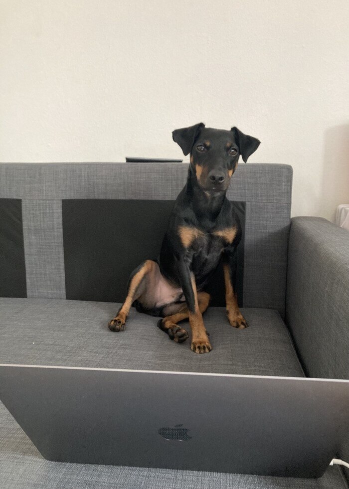 осуждающий Один