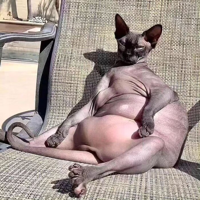  , ,  ,  , ,  , ,  ,  , 