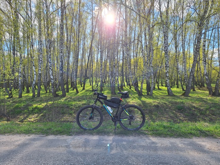 Сезон открыт