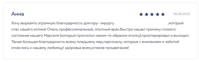 Клинический случай №8 Ветеринария, Кот, Инородное тело