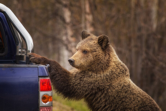 Почему все убежали? Я хотел поздороваться...