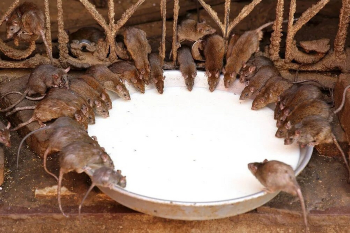 �����: ������, ������� ���������, �� ��� ���� ����� ������� ����� ������?!