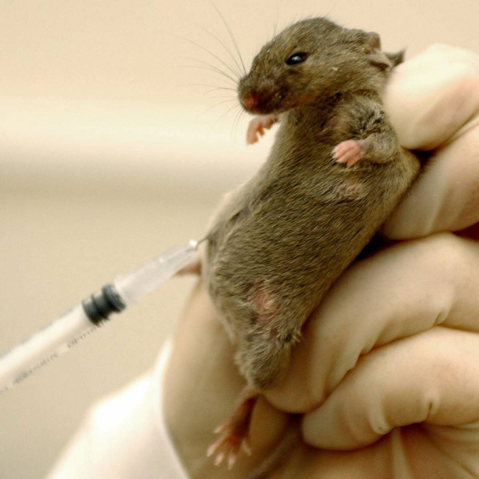 ���� ����� ����� ������ ��������� ���������!