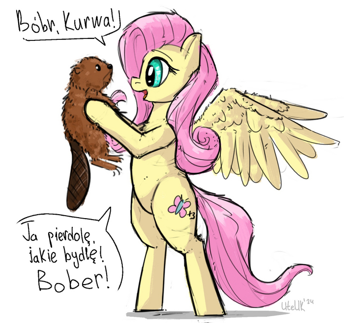 ! My Little Pony, Fluttershy,  ,  ()