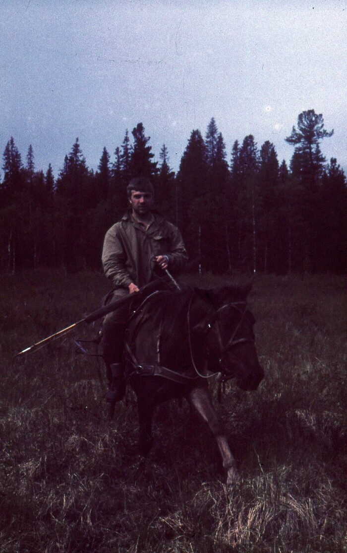     .  ,    -   .     -      ,   .      .