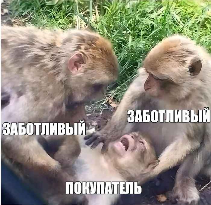 Маг, шут, герой. Как архетипы помогают создать сильный бренд