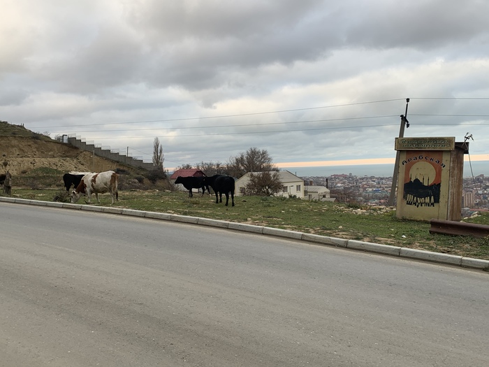 ������ �� �����-���