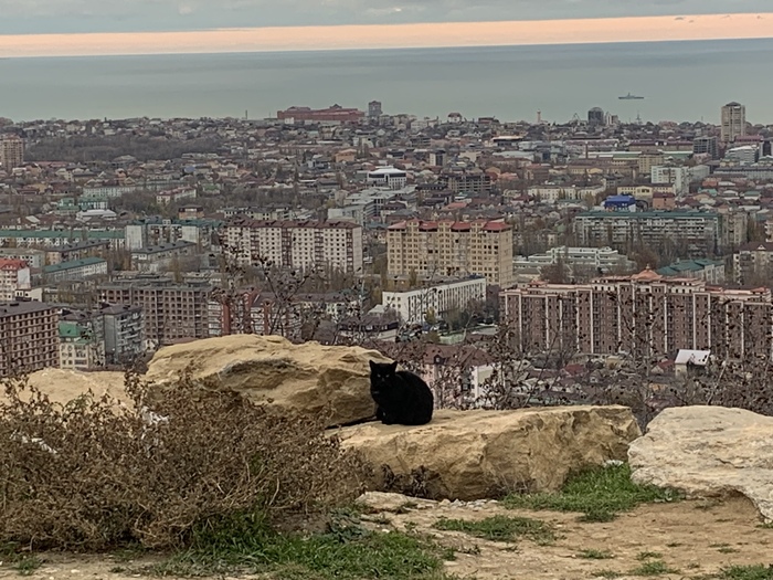 ��� �� �����-���