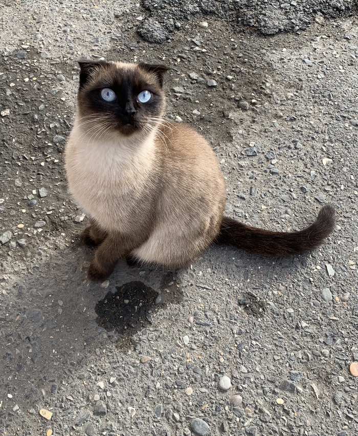 ��� � ���������