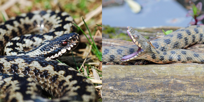   .   .     .     !    ,    ,    ,     .