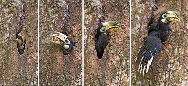 Так, ну что, где там мой муженёк?