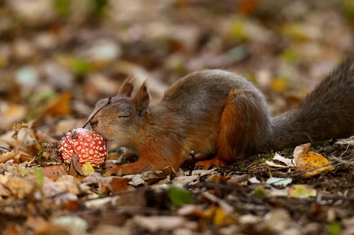 Первый поцелуй – дело волнительное. Надо обязательно потренироваться!