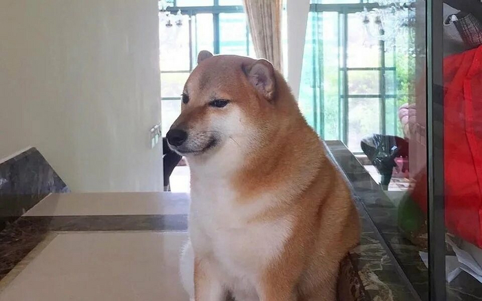  :         .  :     .