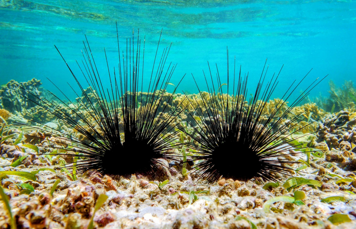 Если бы у слова «отошёл» было бы материальное воплощение.