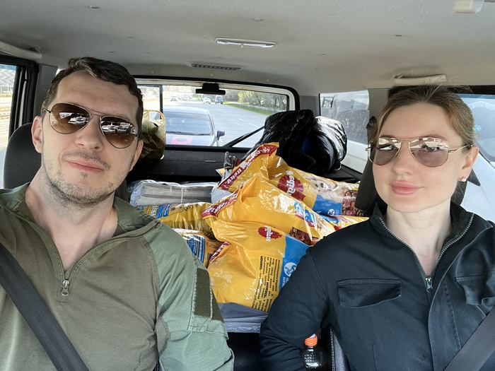 Едем в приют