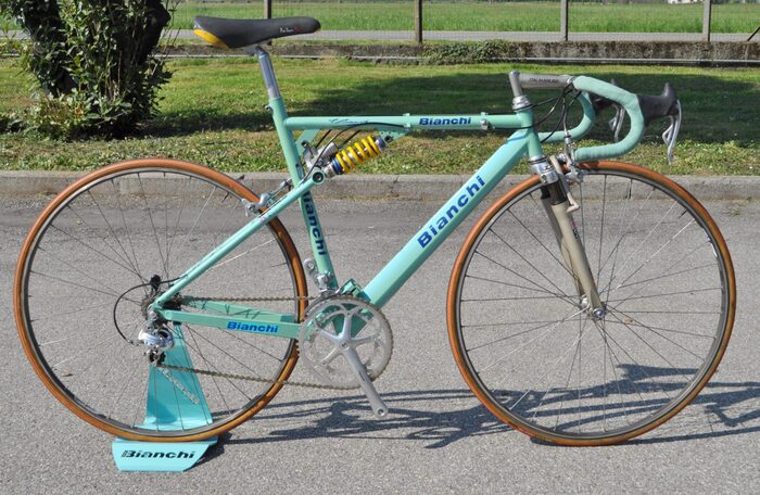 1995-1996     Gewiss-Ballan,   Gewiss-Playbus,     Amstel Gold Race  ,    -   Bianchi   ,    .