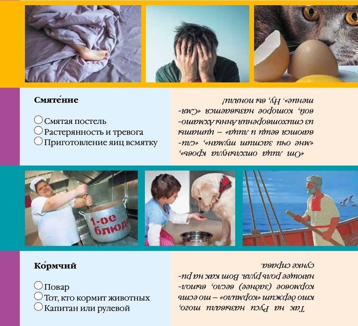 Почему опасно ругаться матом, и что делать, когда ударил молотком по пальцу? Вопрос, Ответ, Культура, Воспитание детей, Образование, Русский язык, Критическое мышление, Развитие, Урок, Воспитание, Детская литература, Учеба, Обучение, Логика, Родители и дети, Детский журнал, Взросление, Родители, Иностранные языки, Длиннопост