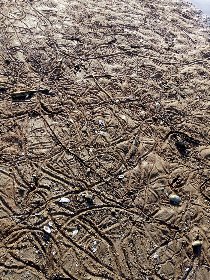 Но везёт не всем.