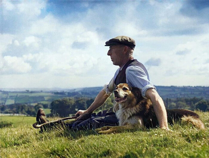 ��������: ���� ������