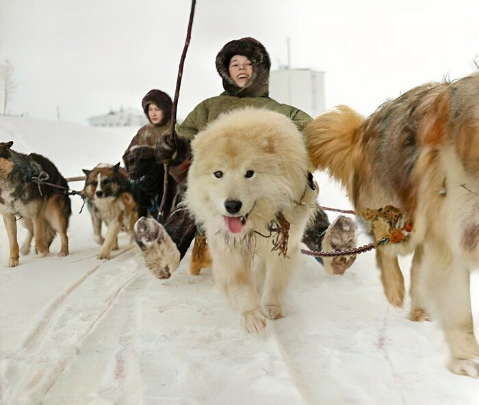 �����: ���������� ����