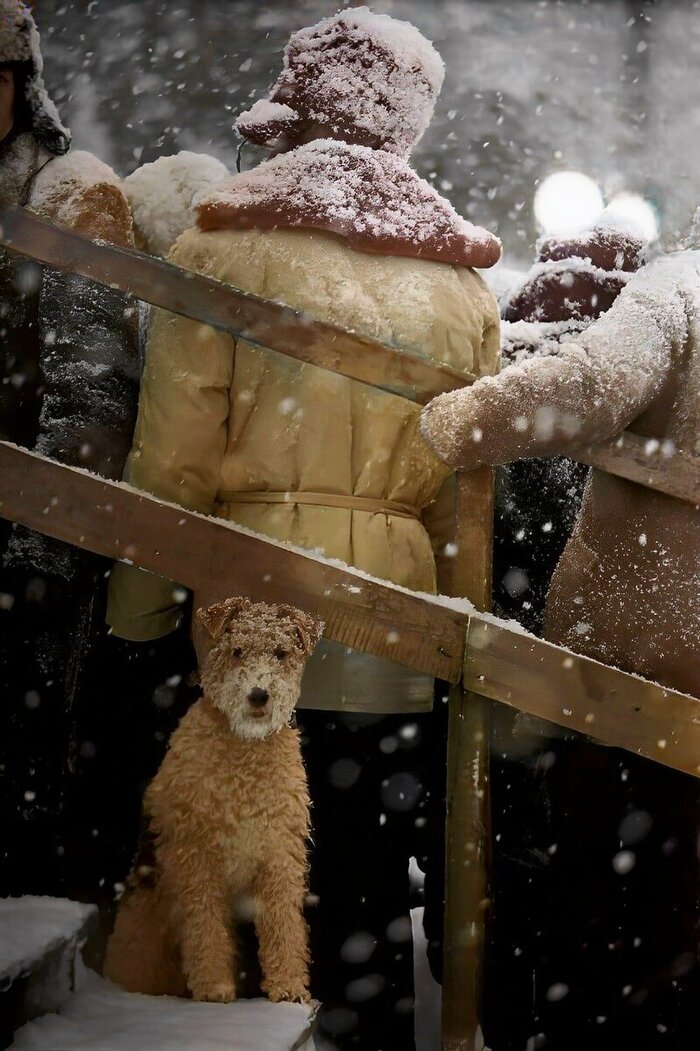 ��������: �������� ��������