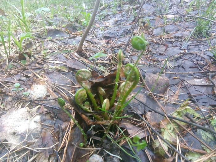   "" -,   -  :    . ,    .    .