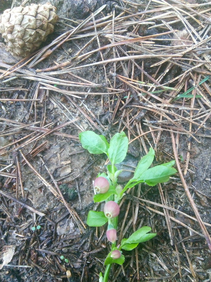  -  !      :           .      ,  .