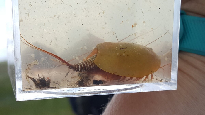 -     .  , ,         .