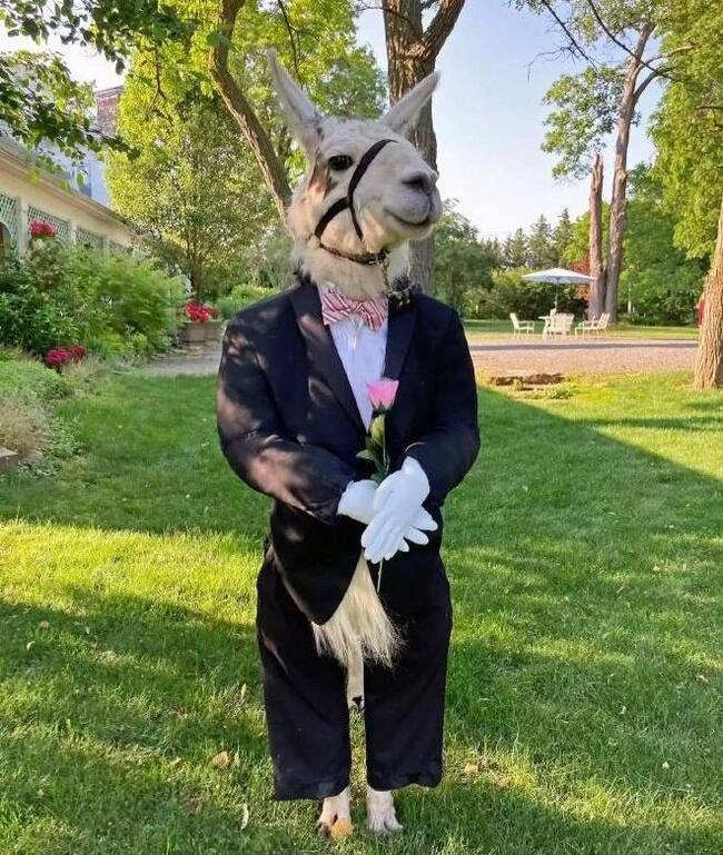 Торжественное приглашение на рабочую субботу!