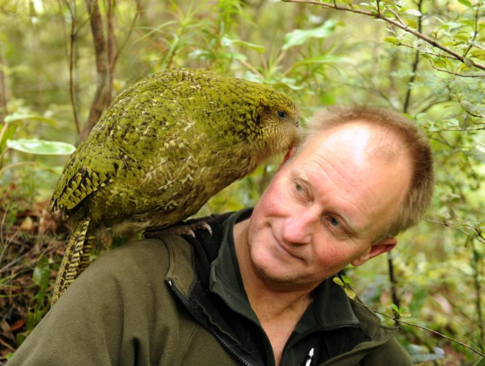 Если такой посидит пару минут, у вас наверняка отвалится плечо.
