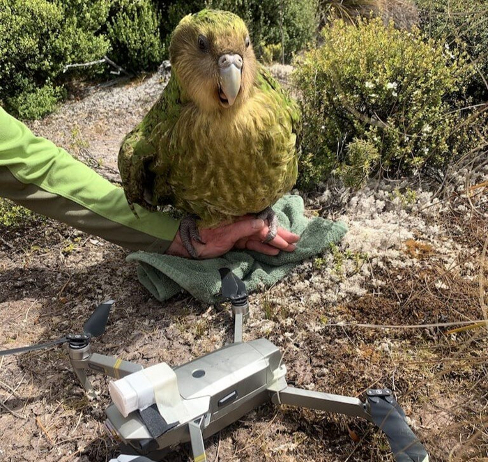 Ого, получается, мне и на свидания больше ходить не нужно?!