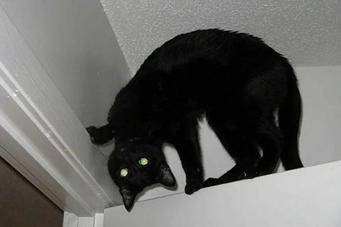 Я хочу сыграть с тобой в одну игру...