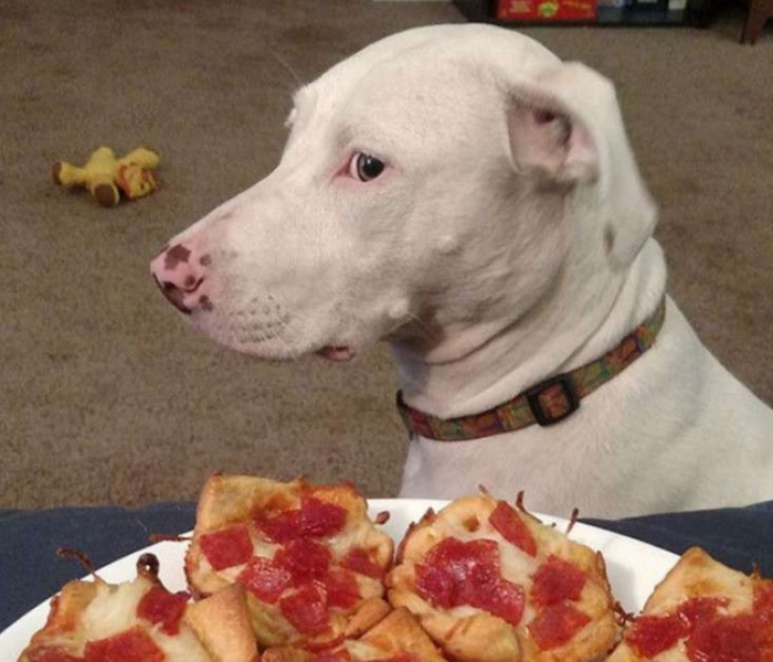 Когда точно знаешь, чего хочешь от жизни.