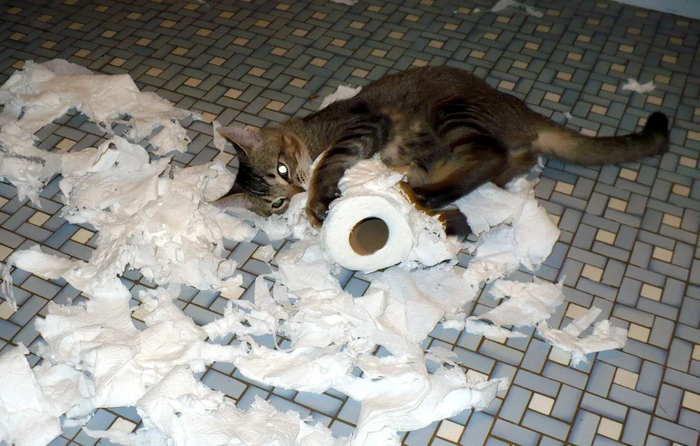 Скажи спасибо, что здесь оказался не твой годовой отчёт!