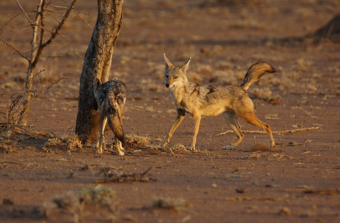 Вас заметили.