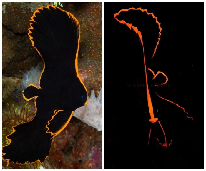 Мам, ты не понимаешь, сейчас так модно!