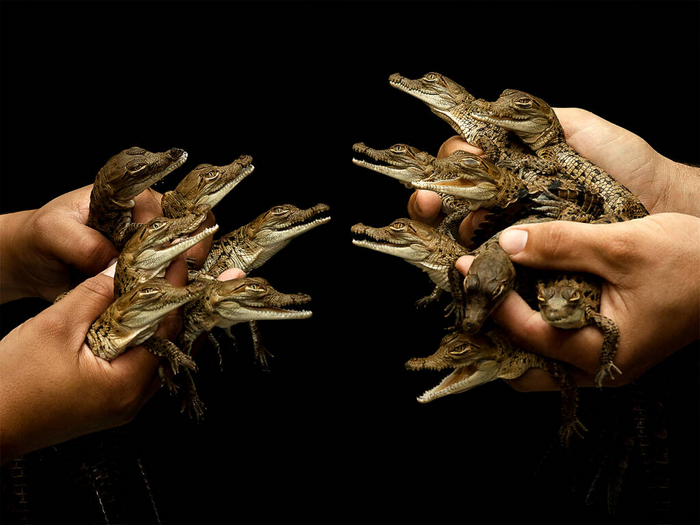 Выбери своего бойца/мальца!