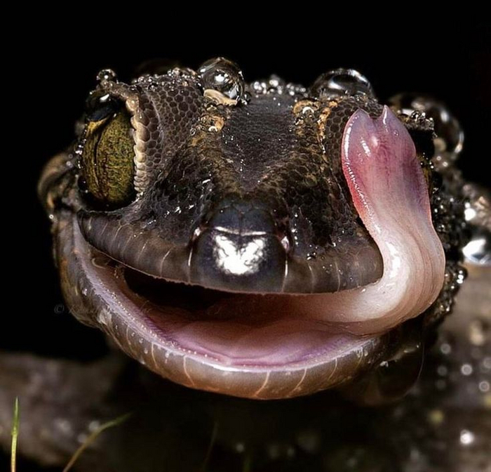 Ой, соринка в глаз попала.