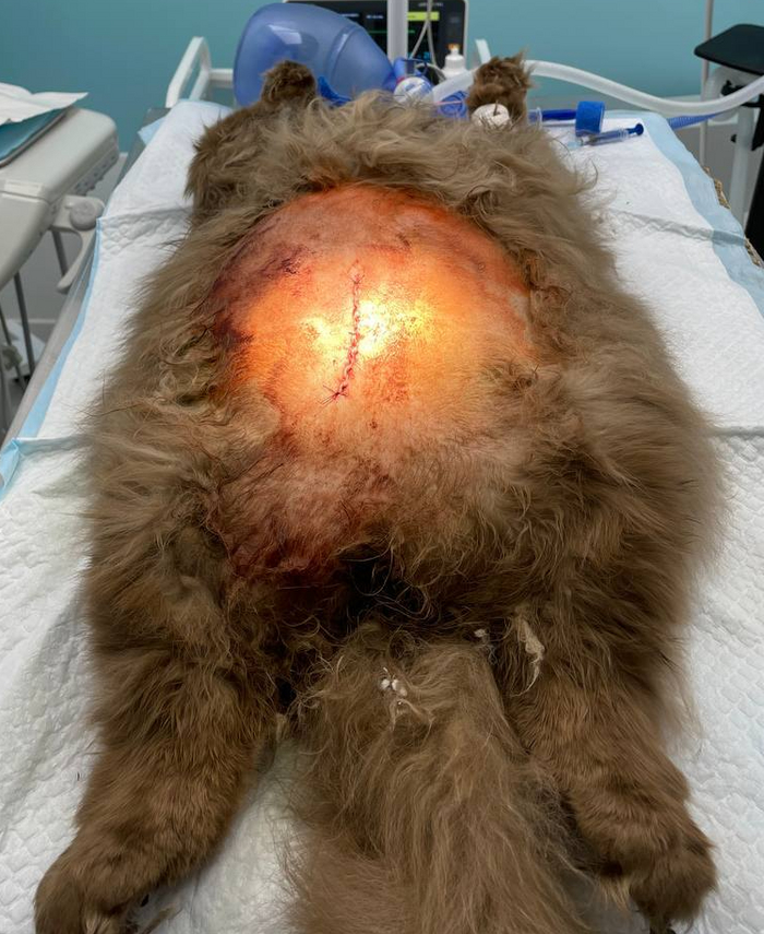 ���� ��� ����� ��������. ���������� ������� �� �����������. ��������� - ����������� ������� ��� ����������� ����� ��������. � ��, ����� ������� ������ - �������.