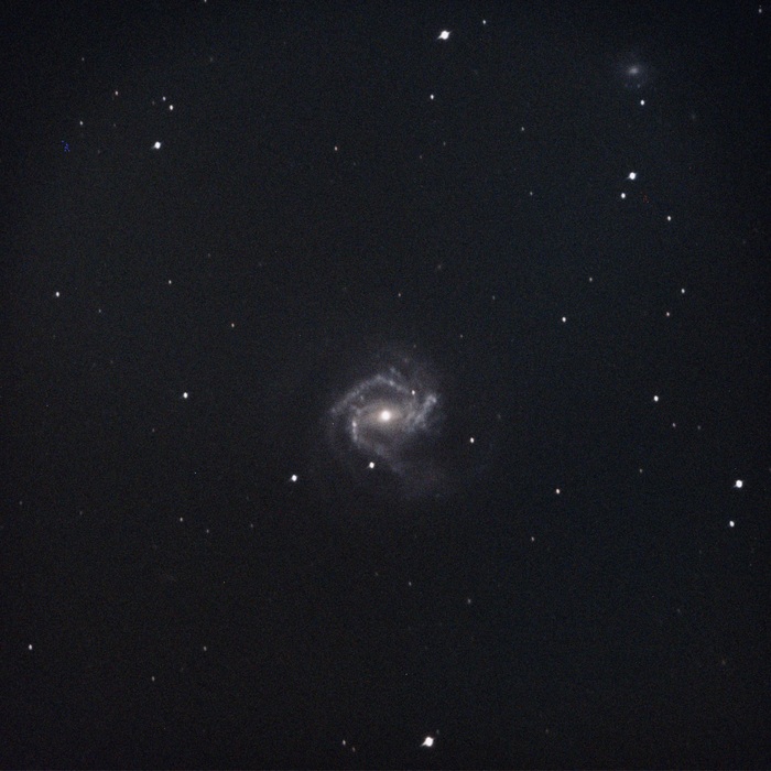  NGC 4303          NGC 4301      55 . .  , , ,  , , , , 