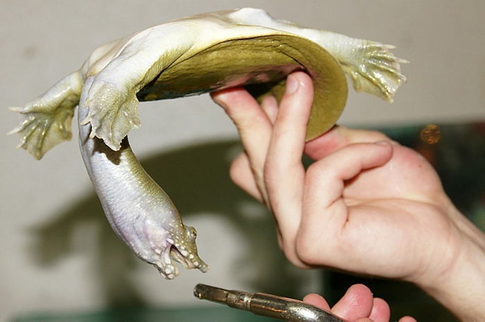 Вы думали, про пятую точку мы пошутили?