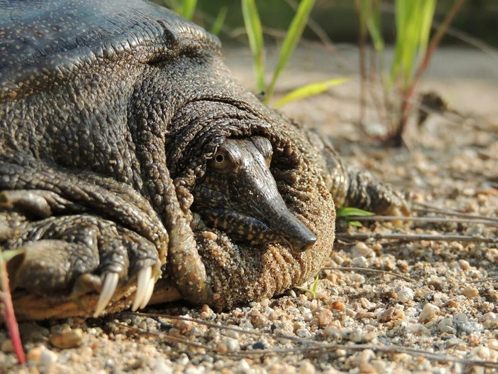 Да не маленькая у меня шея! Просто вода холодная...