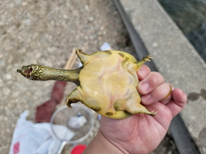 Когда пельмени в морозилке слиплись и стали новой цивилизацией.