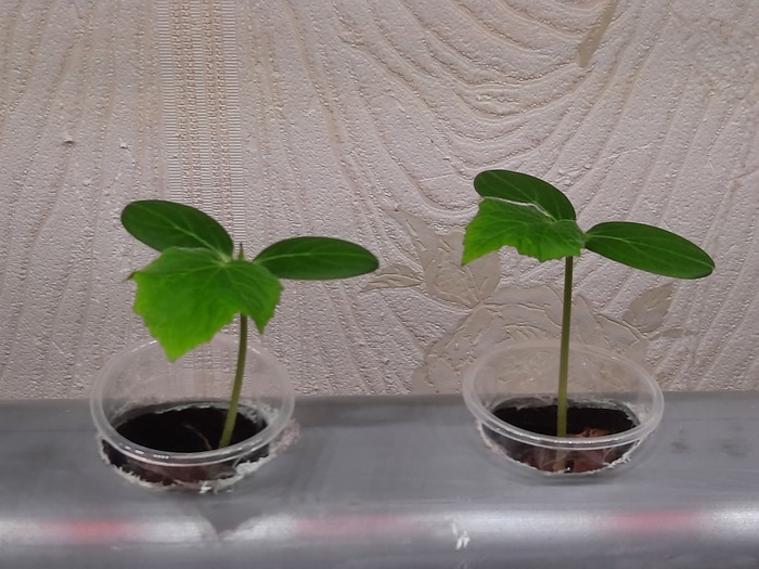 11�� ���� �����