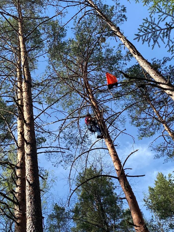 Теперь точно всё