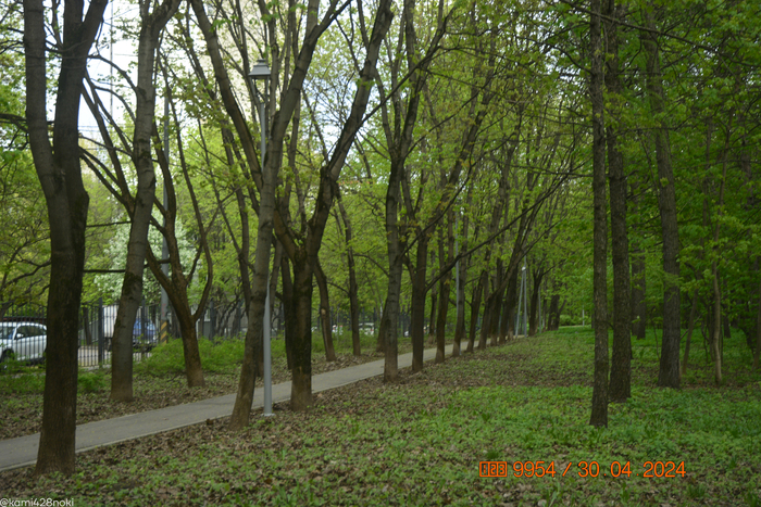Въезжаю в парк